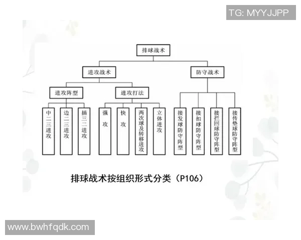 广州排球队技术探讨：提升战术水平与球员素质的关键要素分析